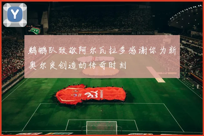 鹈鹕队致敬阿尔瓦拉多感谢你为新奥尔良创造的传奇时刻