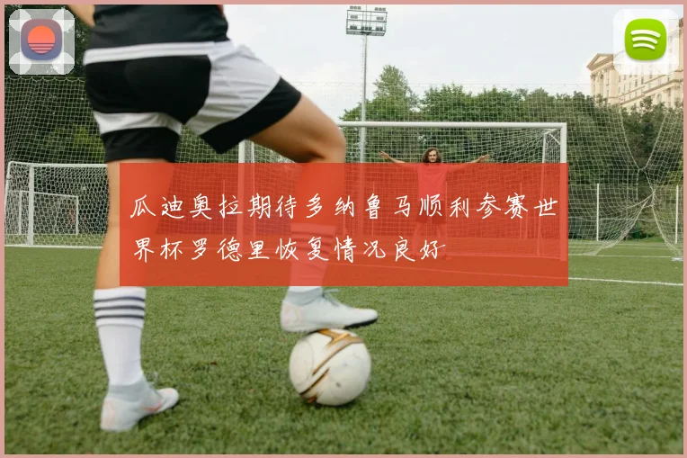 瓜迪奥拉期待多纳鲁马顺利参赛世界杯罗德里恢复情况良好