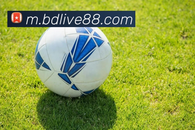 半岛体育APP 封面图